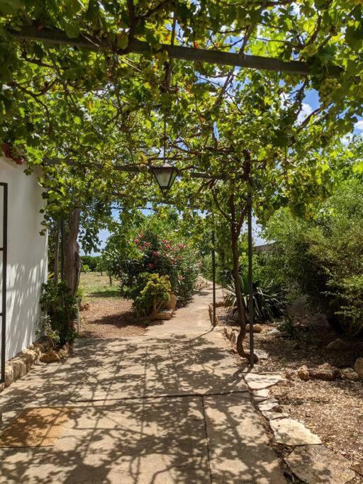 Casa Rural Frente Al Mar La Toscana Les Cases d'Alcanar Kültér fotó