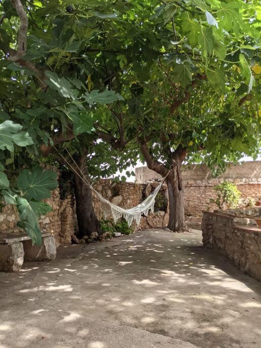 Casa Rural Frente Al Mar La Toscana Les Cases d'Alcanar Kültér fotó