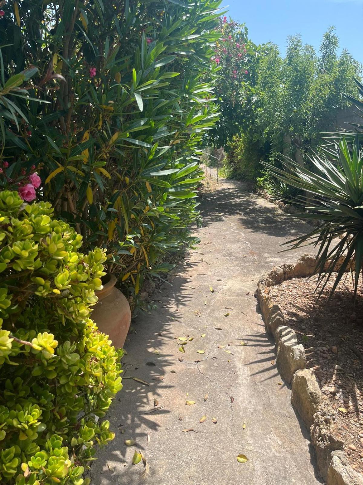 Casa Rural Frente Al Mar La Toscana Les Cases d'Alcanar Kültér fotó