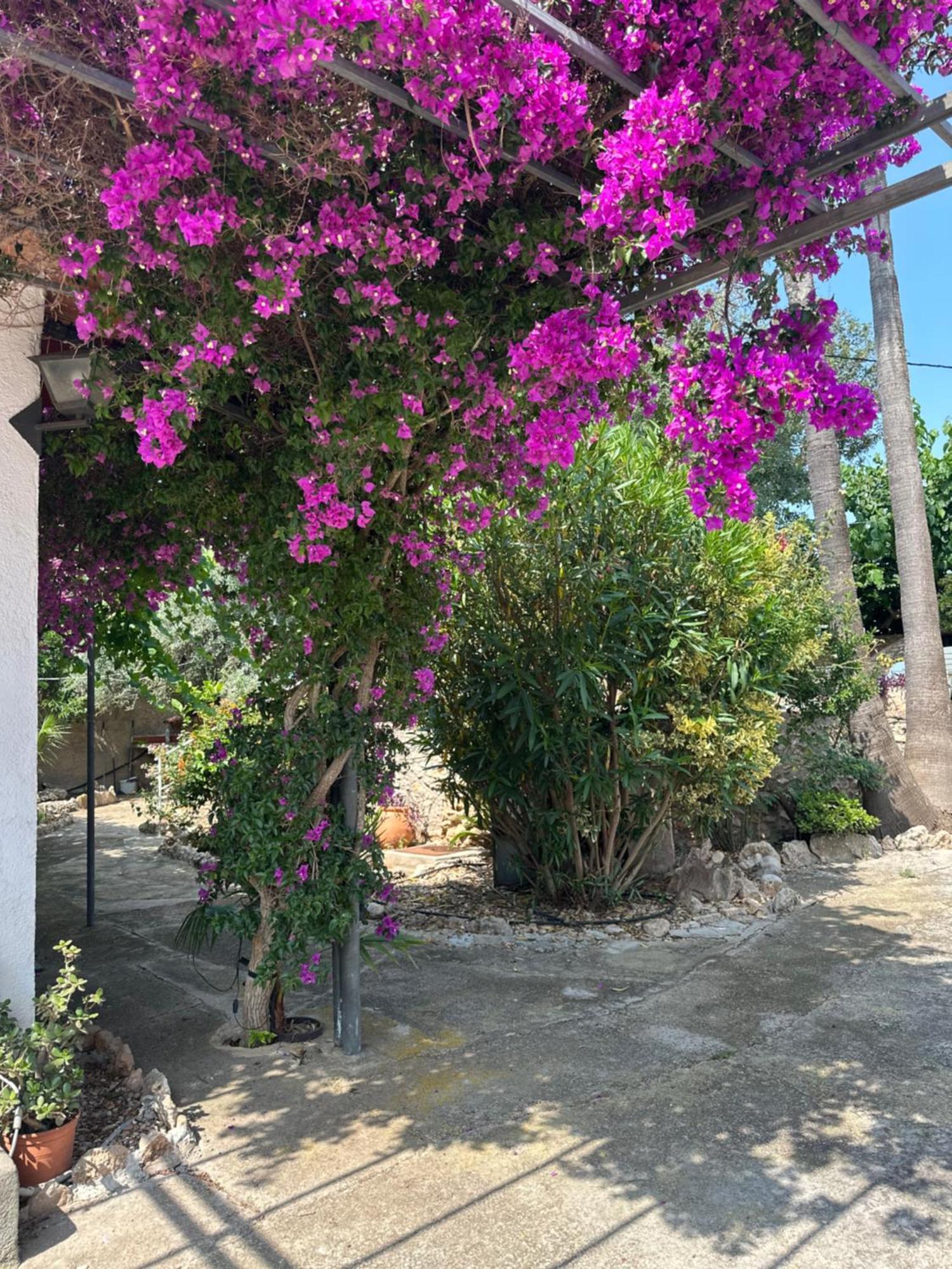 Casa Rural Frente Al Mar La Toscana Les Cases d'Alcanar Kültér fotó